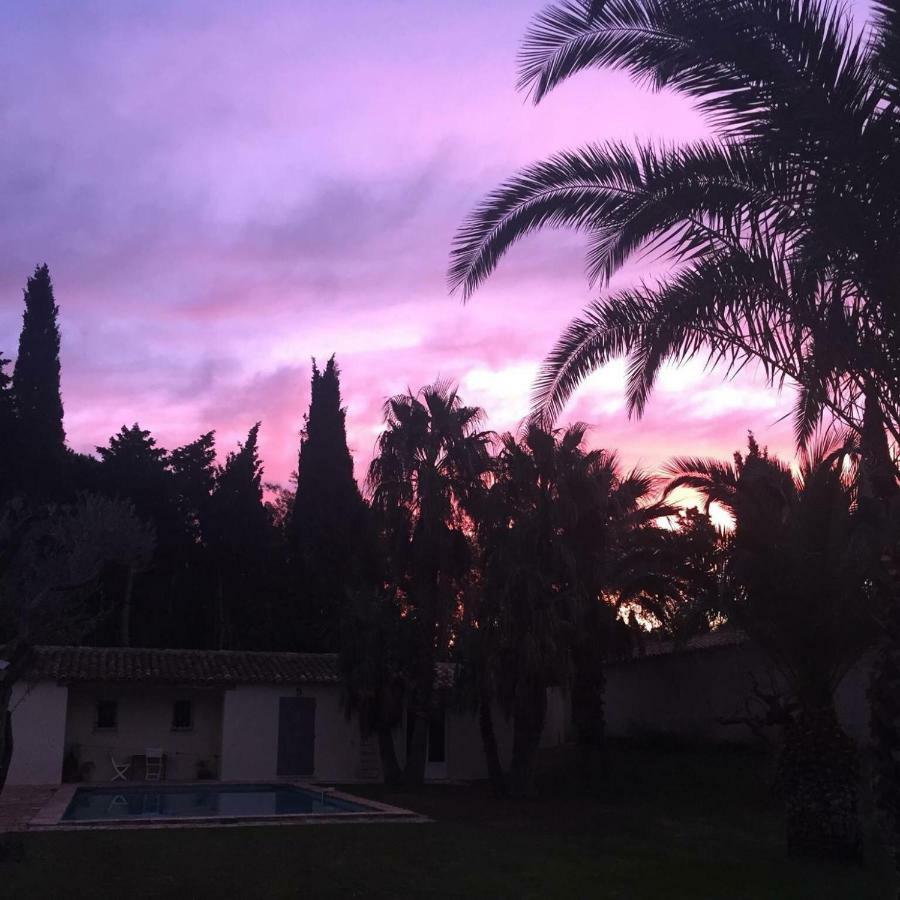 سان تروبيه Villa Made المظهر الخارجي الصورة
